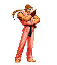I hate the Art of Fighting but want to be the King of Fighters!